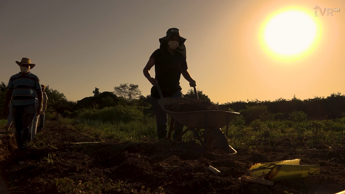 Agro chega a 28,4 milhões de trabalhadores no Brasil